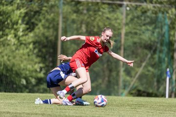 Bild 99 - wBJ Hamburger SV - Hertha BSC : Ergebnis: 5:2